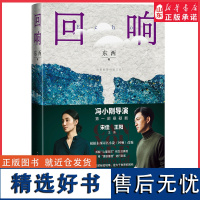 第十一届茅盾文学奖获奖作品 回响东西长篇力作 拆解心理现实和生活真相情感推理侦破推理小说模式现当代文学 正版书籍