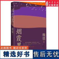 烟霞里魏微著第十一届茅盾文学奖获奖作品鲁迅文学奖全新长篇小说十三年长篇小说新作致敬喧哗与骚动光荣与梦想 正版书籍