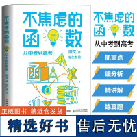 不焦虑的函数 从中考到高考 贼叉著 不焦虑的数学原来数学可以这样学中高考函数数学手册数学原理建模教辅书籍