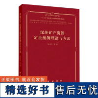 深地矿产资源定量预测理论与方法 陈建平 矿产资源二维 三维定量预测方法 评价原理 地质出版社