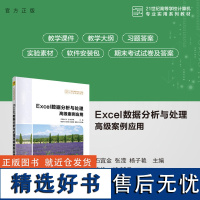 [正版新书] Excel数据分析与处理高级案例应用 石宜金 张滢 杨子艳 清华大学出版社 表处理软件-高等学校-教材