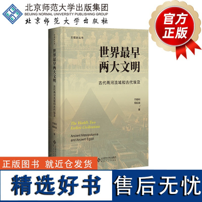 世界最早两大文明 古代两河流域和古代埃及 9787303283385 于殿利 周启迪 著 北京师范大学出版社 正版