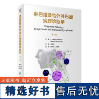 淋巴结及结外淋巴瘤病理诊断学 人卫b淋巴细胞喉病理诊断造血系统免疫学良性恶性病变临床病理增生鉴别诊断人民卫生出版社