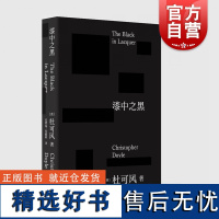 2023豆瓣年度书单]漆中之黑 杜可风著自传体随笔记王家卫御用名家摄影师电影艺术上海文艺代表作重庆森林花样年华2046无