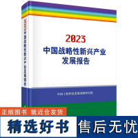 2023中国战略性新兴产业发展报告