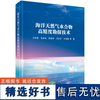 海洋天然气水合物高精度勘探技术