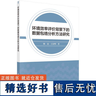 环境效率评价背景下的数据包络分析方法研究