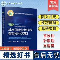 城市固废焚烧过程智能优化控制 乔俊飞 固体废物及其处理与处置 污染防治 智慧环保系列丛书 自动控制理论与技术工程技术人员