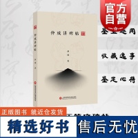 仲威讲碑帖 书法艺术理论字形选临碑帖文房四宝用笔结字执笔法上海科学技术文献出版社篆刻字帖入门书籍