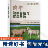 全新正版 肉羊健康养殖与疾病防治 9787511661159 王文义中国农业科学技术出版社 农业