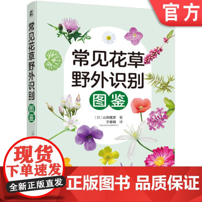 正版 常见花草野外识别图鉴 山田隆彦 叶图 果图 花图 堇菜 蒲公英 月见草 鸢尾 百合 牵牛花 水草 野菊 狗尾草