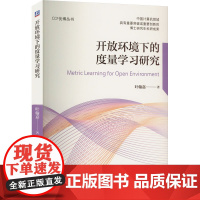 开放环境下的度量学习研究 叶翰嘉 著 计算机控制仿真与人工智能专业科技 正版图书籍 机械工业出版社