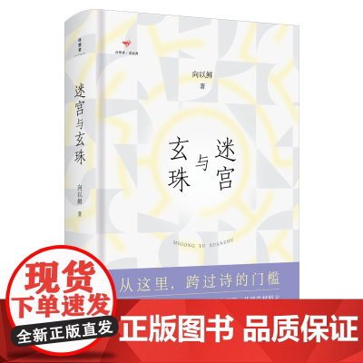 诗想者·读经典 迷宫与玄珠 向以鲜/著 诗歌研究 随笔 广西师范大学出版社