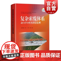 复杂索缆体系动力学分析及智慧监测 城乡建设与市政工程上海科学技术出版社桥梁工程结构设计振动控制