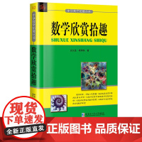 [正版]数学欣赏拾趣 中学数学拓展丛书 刘培杰数学工作室