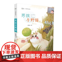 舒辉波生命教育童话 男孩与野猫 7-10岁读物儿童文学图书童话集系列 6-12周岁小学三四五年级课外阅读书籍童年冒险故事