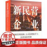 新民营企业 战略管理创新、公司治理提升与法律风险控制 袁建伟 等 著 企业管理经管、励志 正版图书籍