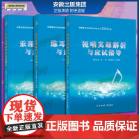 正品 2023年版 乐理/视唱/练耳真题解析与应试指导 安徽省音乐类高考辅导丛书 安徽省音乐考试 13年到22年十年真题