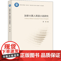 加拿大黑人英语小说研究 綦亮 著 文学理论/文学评论与研究文学 正版图书籍 南京大学出版社