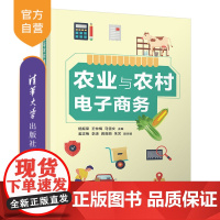 [正版新书] 农业与农村电子商务 杨振荣 清华大学出版社 电子商务类电子商务运营