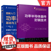 套装 正版 功率半导体基础与技术精讲 共2册 功率半导体器件封装技术 图解入门 功率半导体基础与工艺精讲 原书第2版