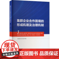 集群企业合作困境的形成机理及治理机制 龙剑军,邢文婷 著 经济理论经管、励志 正版图书籍 中国财政经济出版社