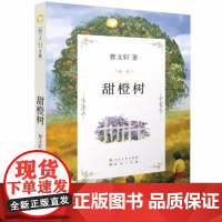 [正版]甜橙树(曹文集,国际安徒生奖得主曹作品,经典儿童文学作品,三至六年级课外阅读。获《少年文艺》