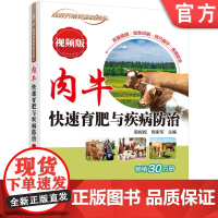 正版 肉牛快速育肥与疾病防治 视频版 郭妮妮 熊家军 饲料 繁育 育肥 饲养管理技术 预防 诊疗方案 农业养殖