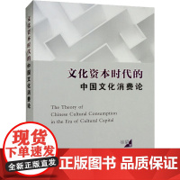 文化资本时代的中国文化消费论 徐望 著 中国文化/民俗经管、励志 正版图书籍 江苏人民出版社