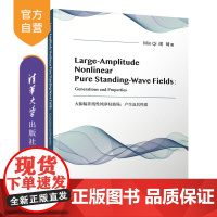 [正版] Large-Amplitude Nonlinear Pure Standing-Wave Fields大振幅非