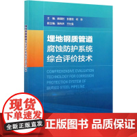 埋地钢质管道腐蚀防护系统综合评价技术 喻建胜,彭星煜,何莎 编 工业技术其它专业科技 正版图书籍 石油工业出版社