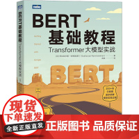 BERT基础教程 Transformer大模型实战 自然语言处理模式实战 chatgpt人工智能聊天机器人学习深度学习计