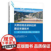 大跨径组合梁斜拉桥建设关键技术——禹门口黄河公路大桥施工及控制技术