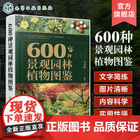 600种景观园林植物图鉴 车晋滇 草本植物藤本植物灌木乔木 景观应用搭配图与花坛花境景观案例 园林工作者和广大植物爱好者