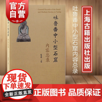 吐鲁番中小型石窟内容总录 新疆石窟寺佛教遗存壁画考古学研究上海古籍出版社中国通史文化考古