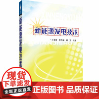 新能源发电技术 王长贵,崔容强,周篁 编 建筑/水利(新)专业科技 正版图书籍 中国电力出版社