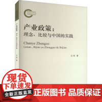 产业政策:理念、比较与中国的实践 石奇 著 经济理论经管、励志 正版图书籍 中国财政经济出版社