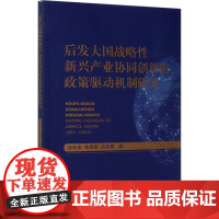 后发大国战略性新兴产业协同创新的政策驱动机制研究 汤长安,张丽家,吕殿青 著 中国经济/中国经济史经管、励志