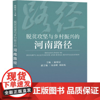 脱贫攻坚与乡村振兴的河南路径 陈明星 编 社会学经管、励志 正版图书籍 社会科学文献出版社