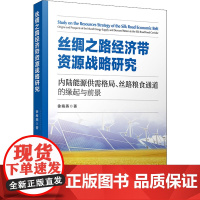 丝绸之路经济带资源战略研究 内陆能源供需格局、丝路粮食通道的缘起与前景 徐海燕 著 经济理论经管、励志 正版图书籍