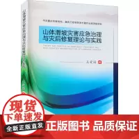 山体滑坡灾害应急治理与灾后修复理论与实践 王爱国 著 冶金工业专业科技 正版图书籍 西南财经大学出版社