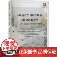 小额贷款公司经营绩效与社会福利影响——基于县域信贷市场竞争视角 冯海红 著 中国经济/中国经济史经管、励志