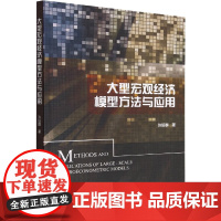 大型宏观经济模型方法与应用 张延群 著 中国经济/中国经济史经管、励志 正版图书籍 中国社会科学出版社