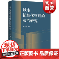 城市精细化管理的法治研究 城市法制治理科学智能化公共安全退休制度养老金火灾预防控制王宇熹编著上海人民出版社法学理论