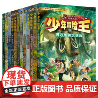 少年冒险王 升级版 1-3季合集(套装共12册)