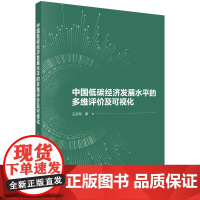 中国低碳经济发展水平的多维评价及可视化