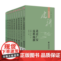 全套9本 当代中医皮科流派 燕京金氏黔贵皮科北京广安皮科海派夏氏皮科岭南皮科龙江皮科盛京皮科长安皮科齐鲁皮科流派诊治医案