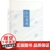 小小悲欢 云沧海 著 现代/当代文学文学 正版图书籍 浙江工商大学出版社