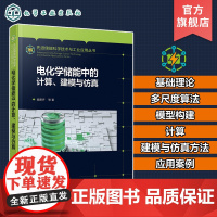 电化学储能中的计算 建模与仿真 施思齐 多尺度多物理场建模与仿真 电化学计算电化学建模电化学仿真 物理材料新能源等专业参