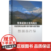 青海省纳日贡玛地区斑岩型铜多金属矿成矿规律与成矿预测 康继祖 等 编 地质学专业科技 正版图书籍